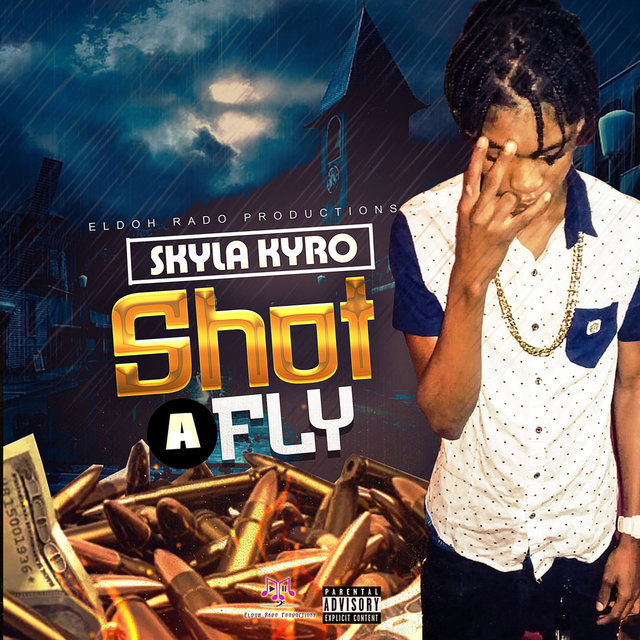 Shot A Fly