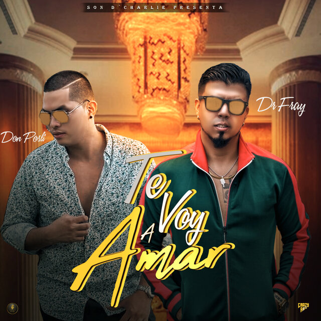 Te voy a amar