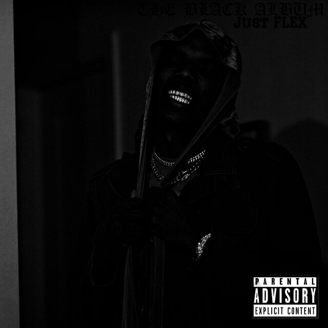 Just The BLACK Album