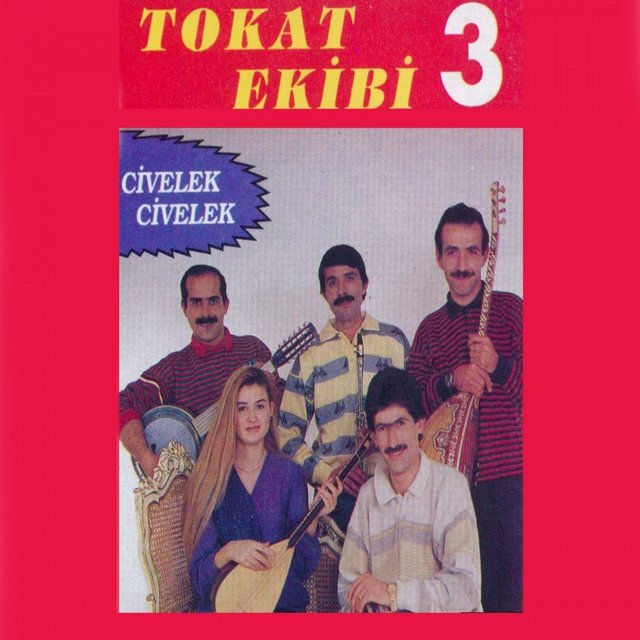 Tokat Ekibi, Vol. 3 (Civelek Civelek)