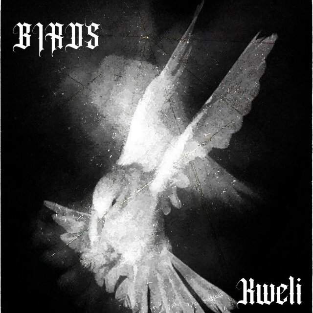 BIRDS (feat. NADDA & RAMBO)
