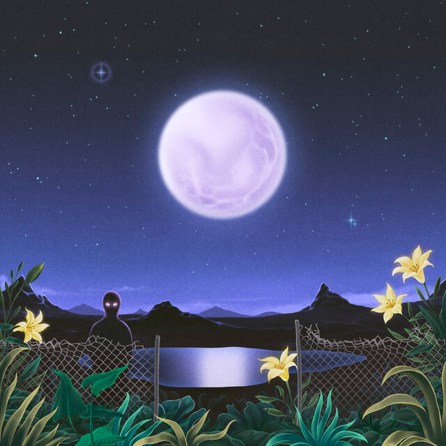 Over The Moon