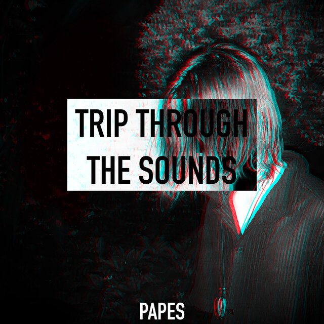 TRIP THROUGH THE SOUNDS