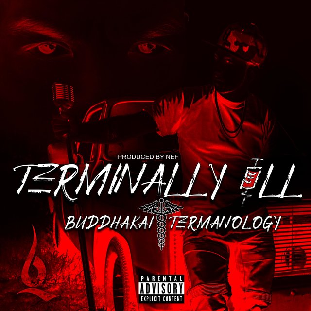 Terminally Ill (feat. Termanology)