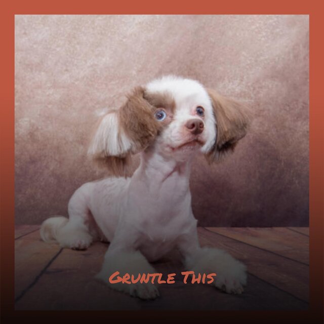 Gruntle This