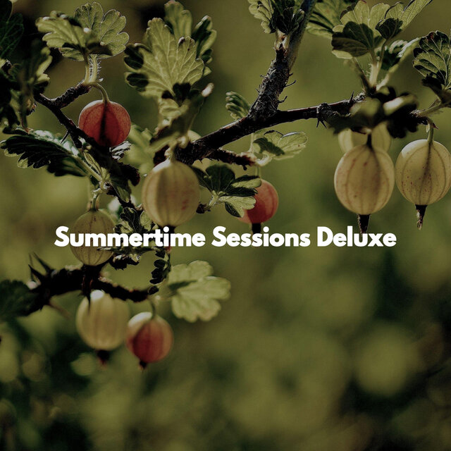 Summertime Sessions Deluxe