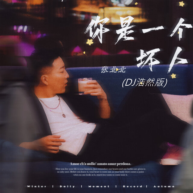 你是一个坏人 (Dj浩然版)