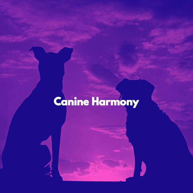 Canine Harmony