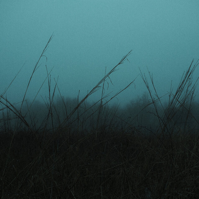 echoes of solace