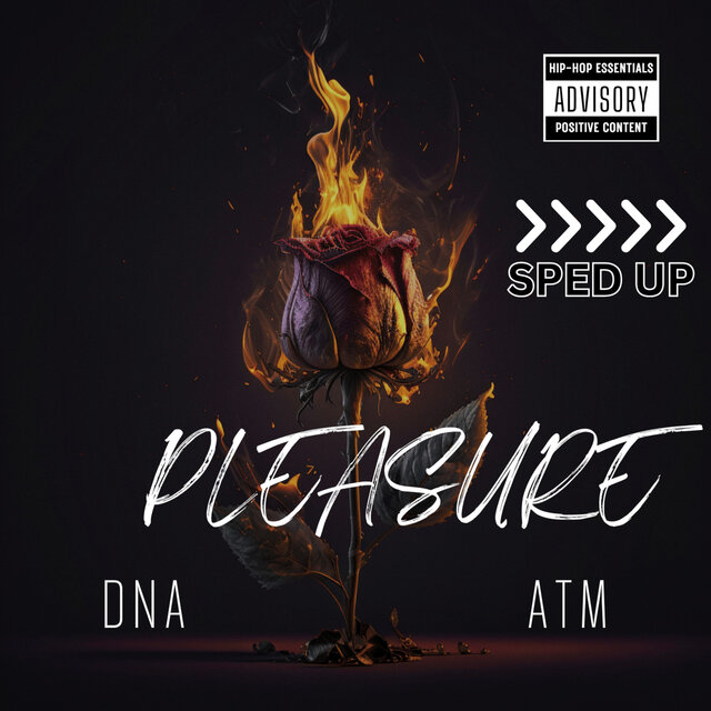 PLEASURE (SPED UP)