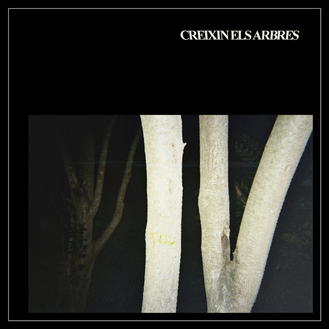 Creixin els arbres
