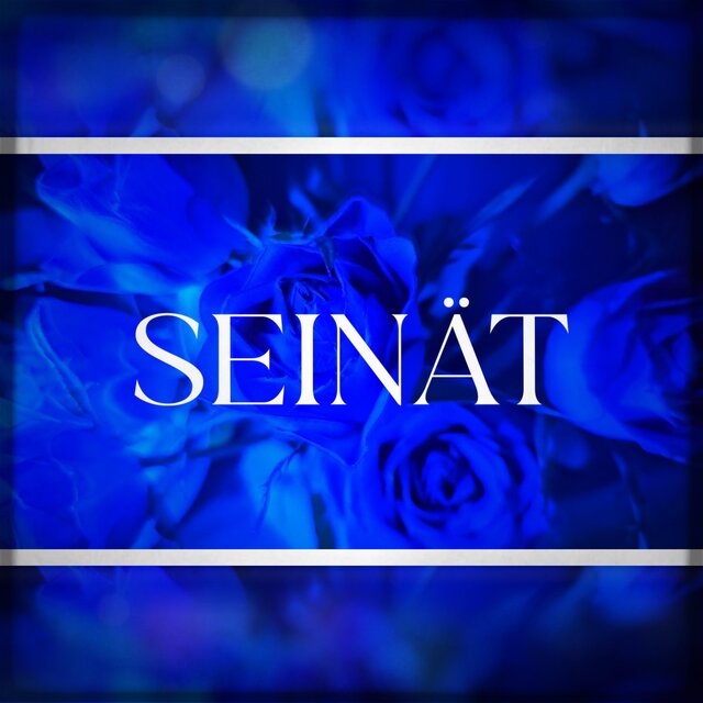 Seinät