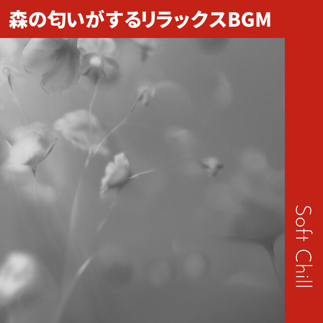 森の匂いがするリラックスBGM