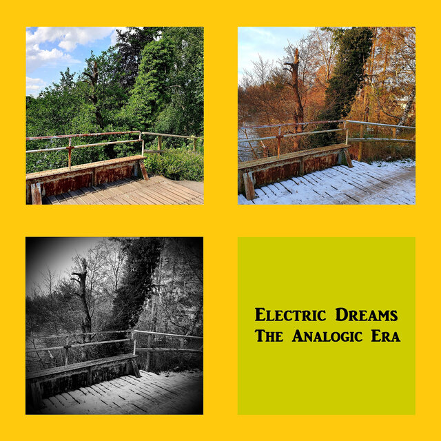 The Analogic Era