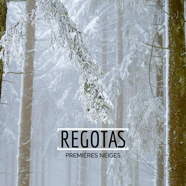 Premiéres neiges