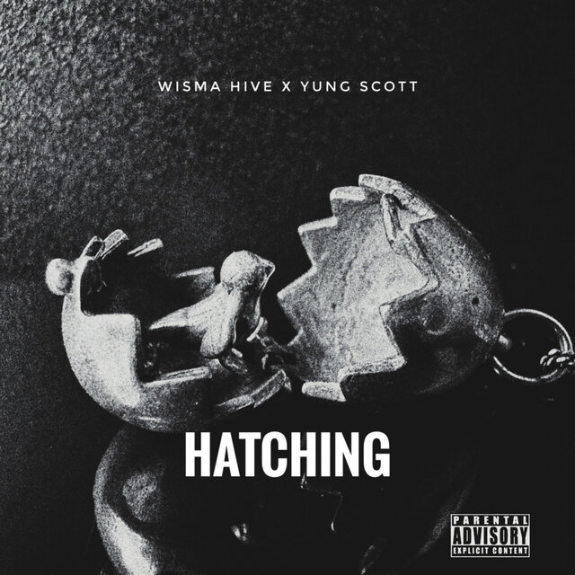Hatching