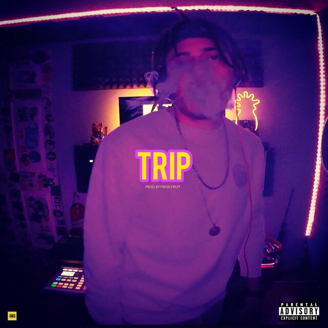 Trip (IMG Session, No.20)