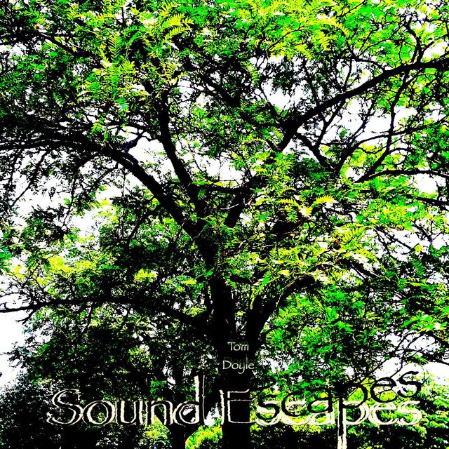 Sound Escapes