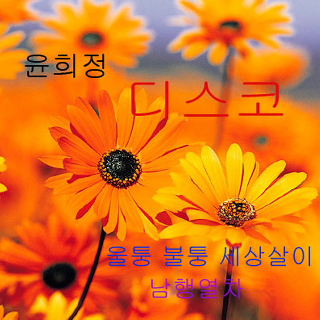 윤희정 디스코 (울퉁 불퉁 세상살이 / 남행열차)
