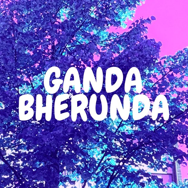 Bherunda