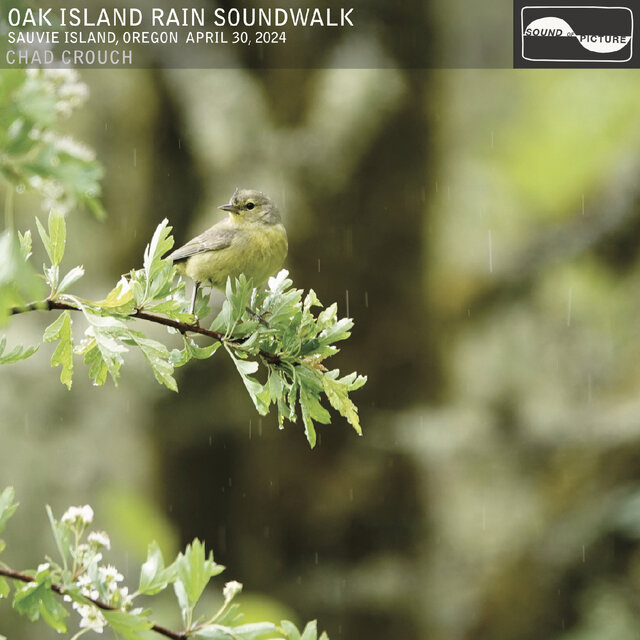 Oak Island Rain Soundwalk
