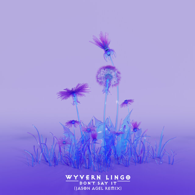 Don't Say It (Jason Agel Remix)