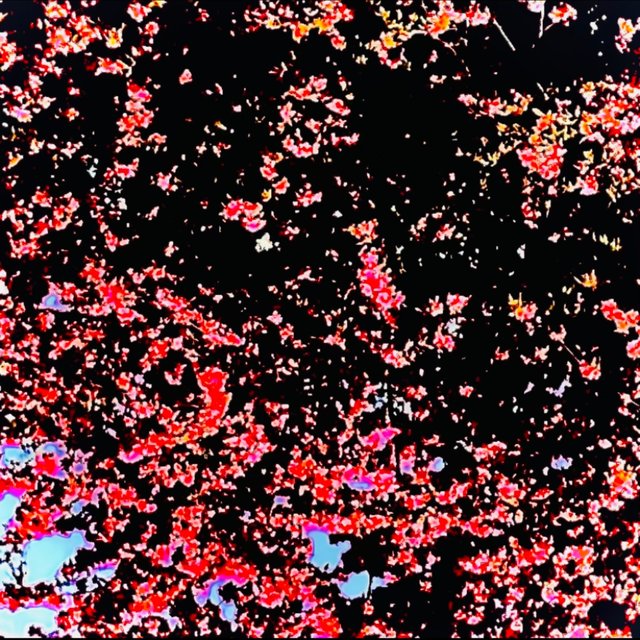 The Red Skies On A Monday