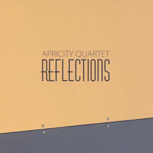 Reflections