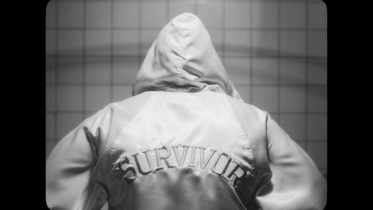 Survivor
