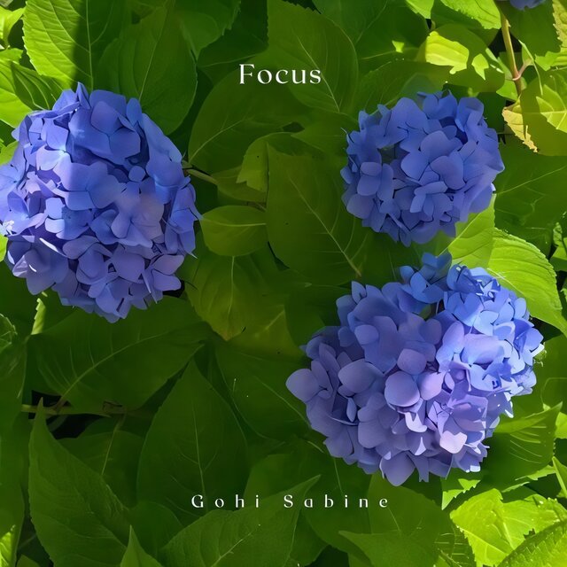 Focus