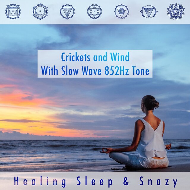 Crickets and Wind with Slow Wave 852Hz Tone