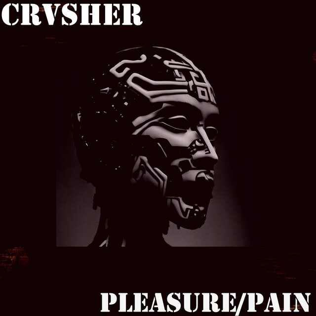 Pleasure/Pain