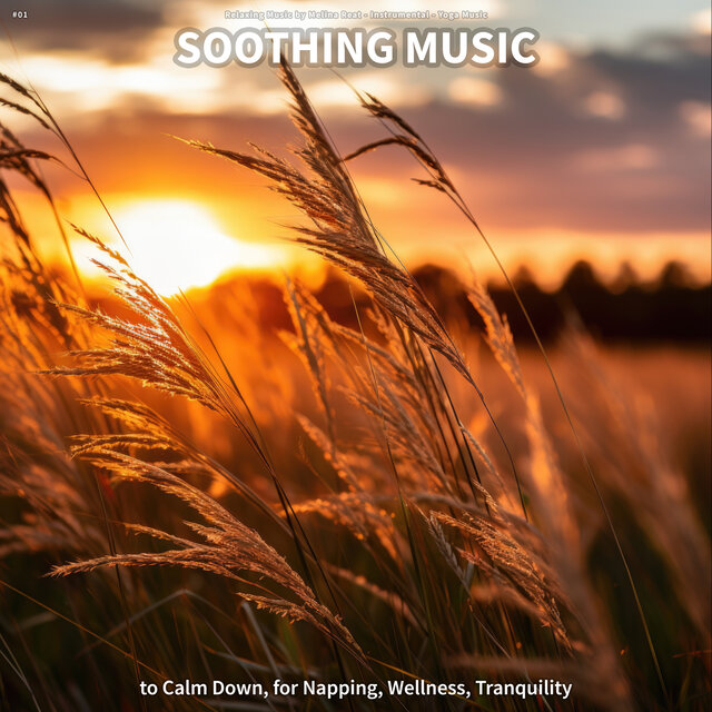 #01 Soothing Music to Calm Down, for Napping, Wellness, Tranquility