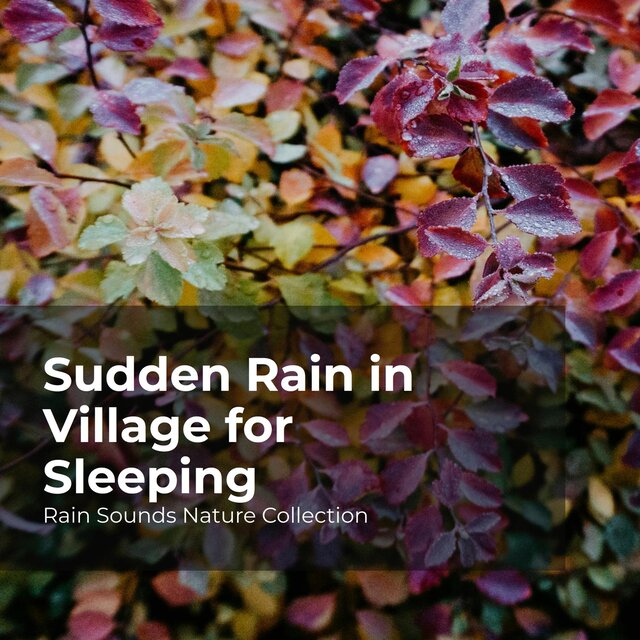 Sudden Rain in Village for Sleeping