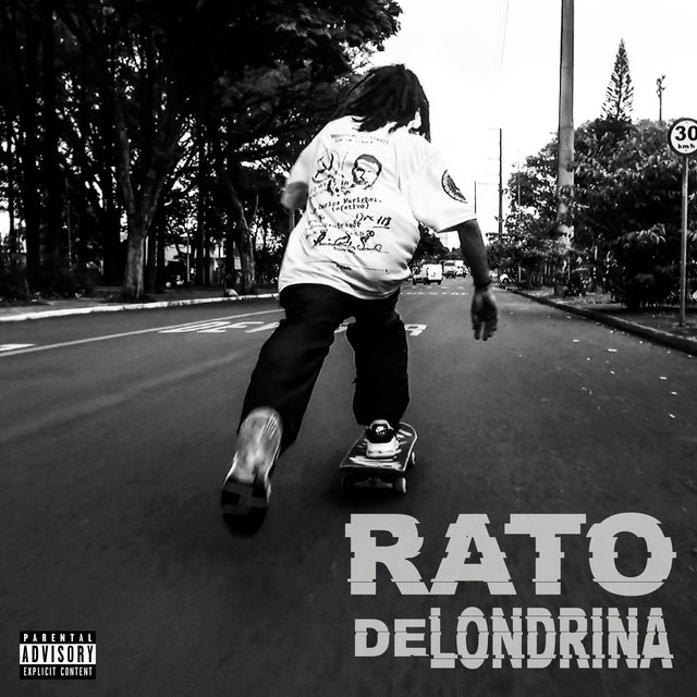 Rato de Londrina