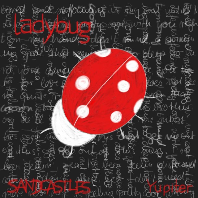 ladybug