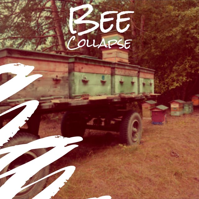 Bee Collapse