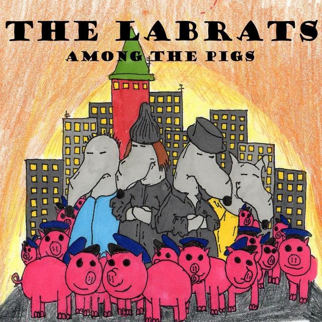 Among the Pigs