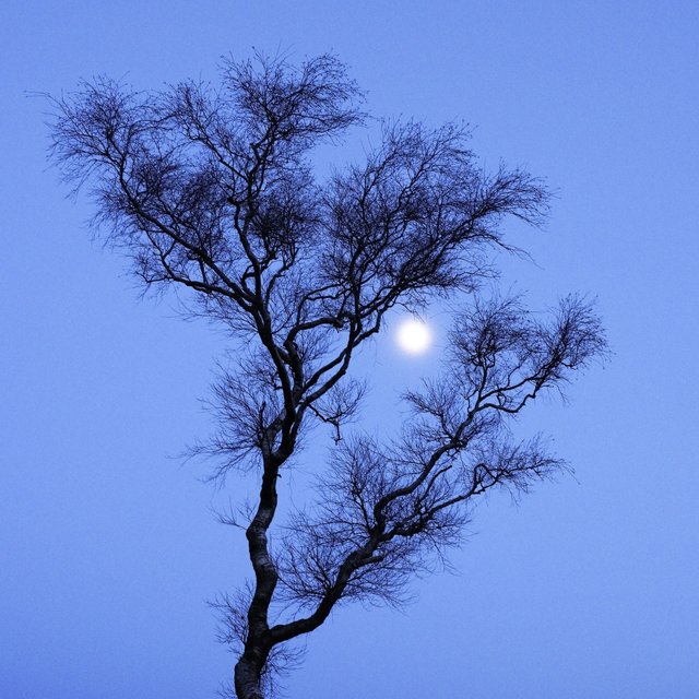 Nocturne No. 6 for Guitar