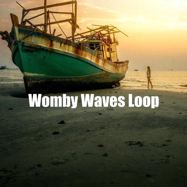 Womby Waves Loop