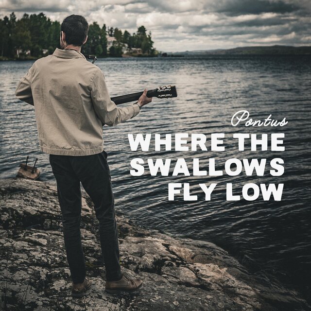 Where the Swallows Fly Low