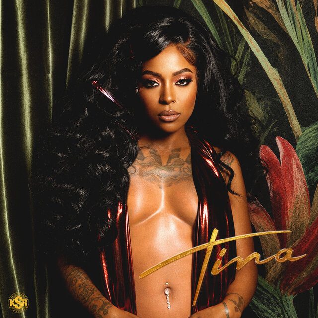 Cover art for album Tina by Tina (HoodCelebrityy)
