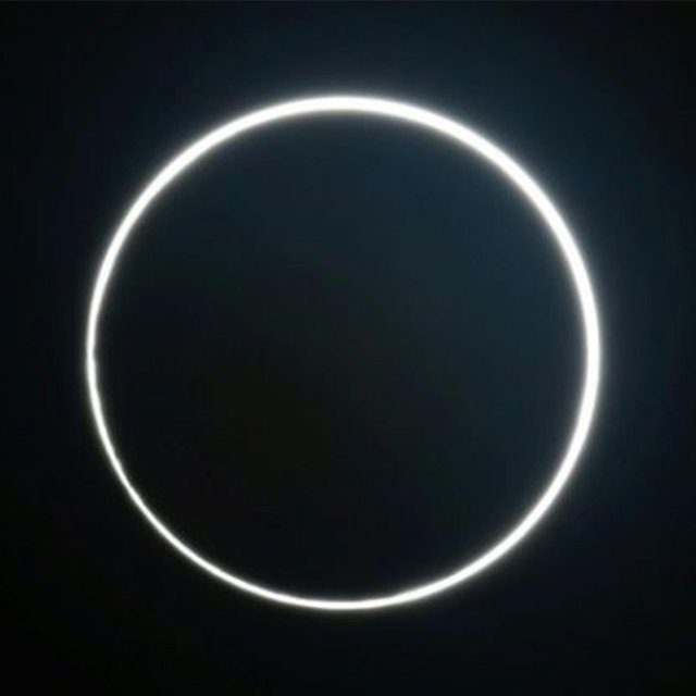 Foreshadowing: Co Star-Ring Son Scotty