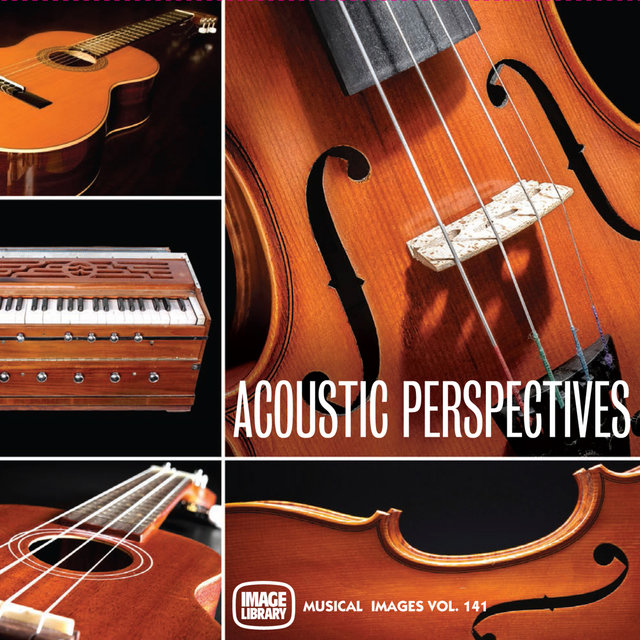 Acoustic Perspectives