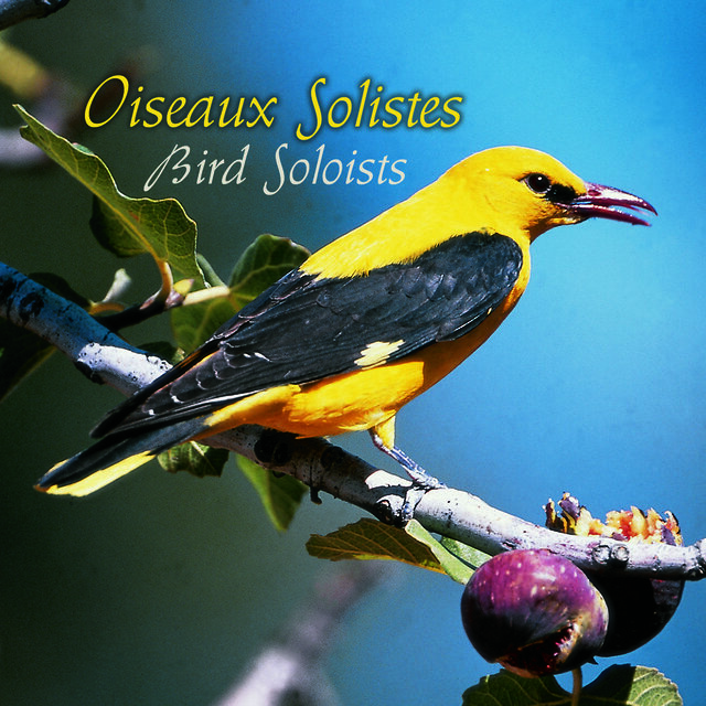Oiseaux solistes, vol. 2 (Birds Solists)