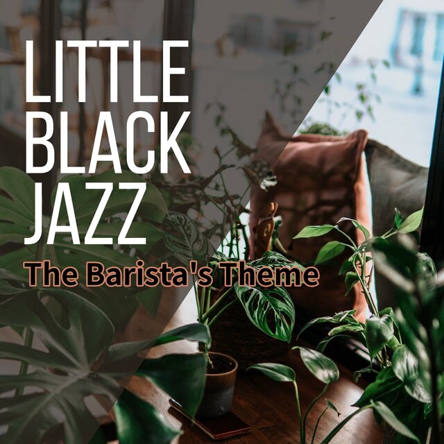 The Barista's Theme
