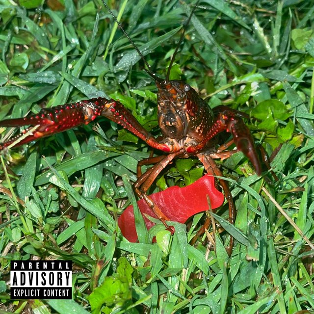 ADHD (feat. Sani)