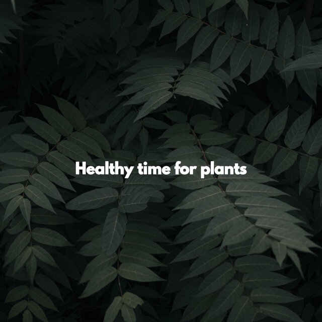 Healthy time for plants