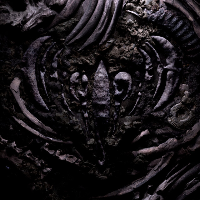 Amulet / Fossil