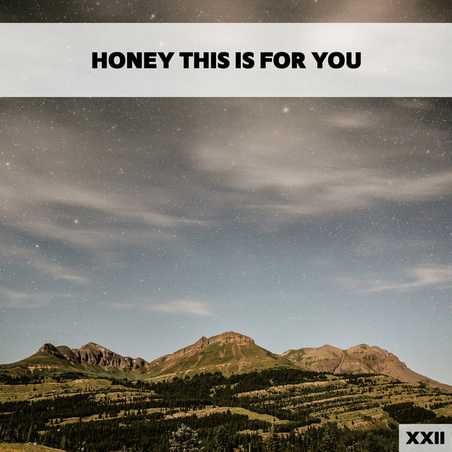 Honey This Is For You XXII